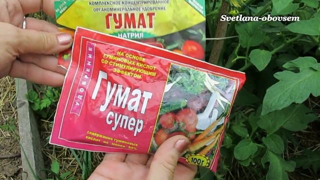 ПОДКОРМКИ ТОМАТОВ -от А до Я .УДОБРЕНИЯ -БЕЗ ХИМИИ для УРОЖАЙНОСТИ . смотреть онлайн