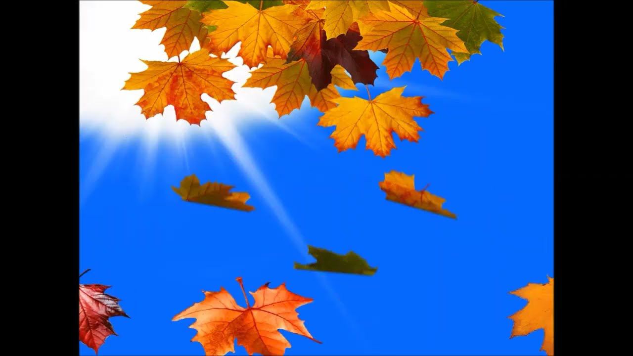 АРТ-альбом – настроение "Золотая волшебница осень" смотреть онлайн