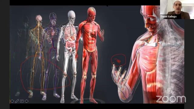 Ganoderma lucidum y la importancia del consumo смотреть онлайн