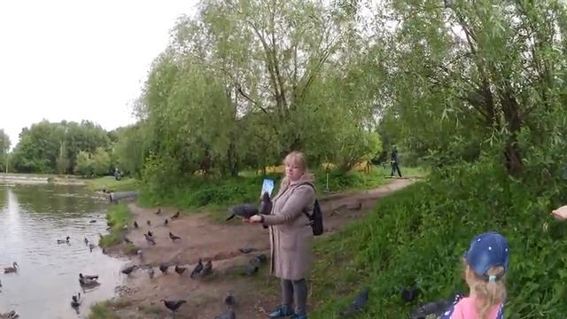 VLOG 2 Терлецкий Парк 25 июня 2017 смотреть онлайн
