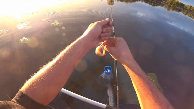 4 ЩУКИ В ОДНОМ ВИДЕО, ОТЛИЧНЫЙ КЛЕВ ХИЩНИКА! СУПЕР РЫБАЛКА! смотреть онлайн