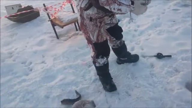 Рыбалка на Спортзоне в Савельево-1. 15.02.17г. смотреть онлайн