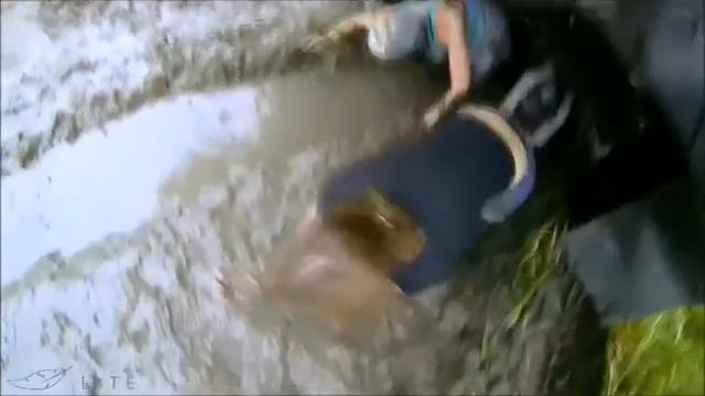 Безумные гонки. Как это было - визитка, отзывы смотреть онлайн