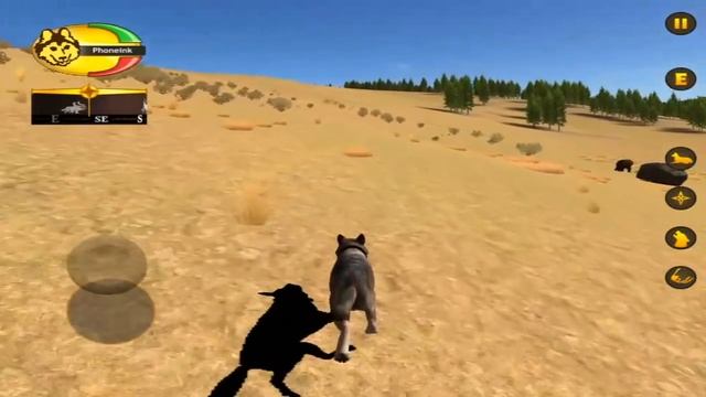 Wolf Quest 2.7.3 -Find a Moose- Amethyst Mountain (Map) - Android/iOS/Kindle - Gameplay Episode 24 смотреть онлайн