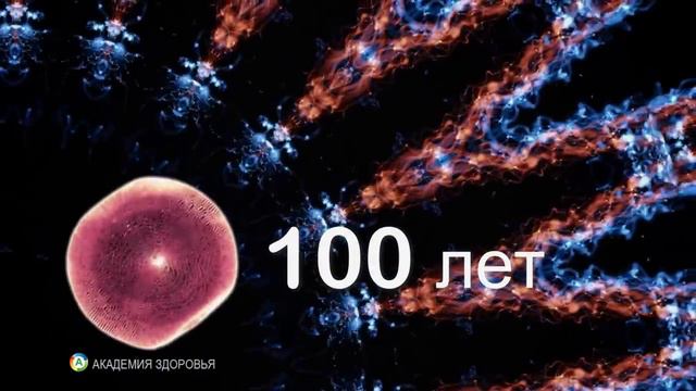 Өр сыллаах үөрэтии түмүктэринэн киһи санаата ДНК ҕа хайдах быһыылаахтык дьайарын туһунан. смотреть онлайн