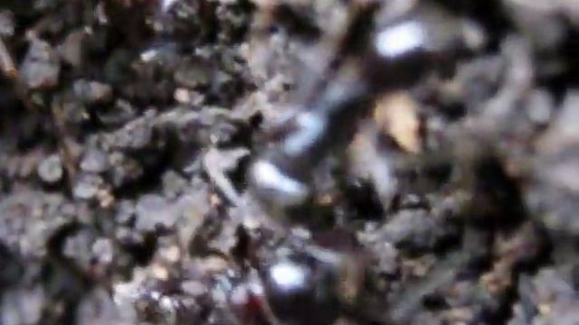 Учим Делать Полезно