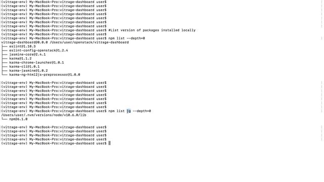 Find the version of an installed npm package смотреть онлайн