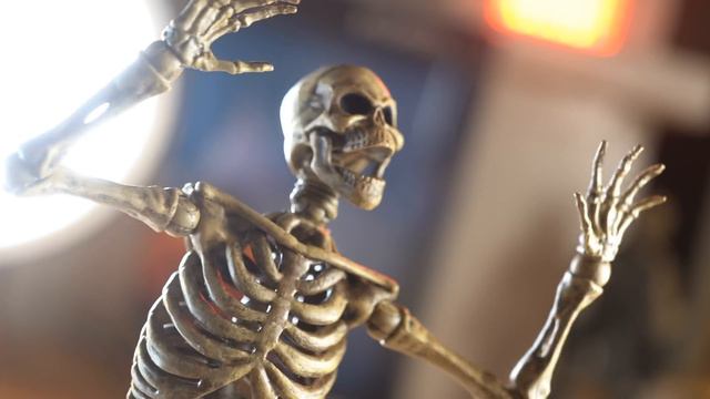 This new Skeleton Figure is incredible! and Only $40?? - Shooting & Reviewing смотреть онлайн