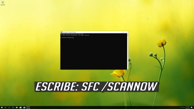Error Critical Process Died Windows 10/8/7 Pantalla Azul I Solución 2024 смотреть онлайн
