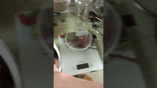 Чем я кормлю щенка кане корсо смотреть онлайн