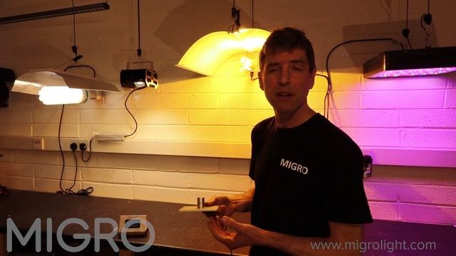 How Far Should Grow Lights Be From Plants? Learn How high To Hang A Grow Light смотреть онлайн