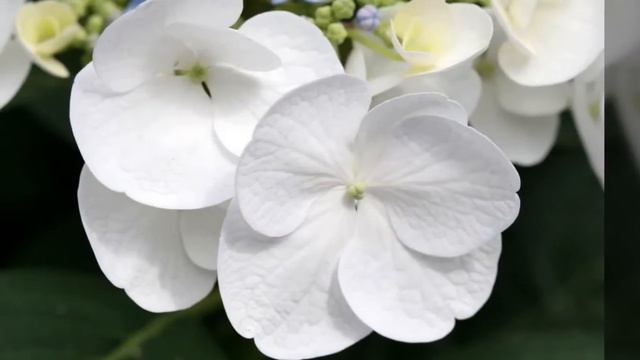 Last Memory - Piano смотреть онлайн