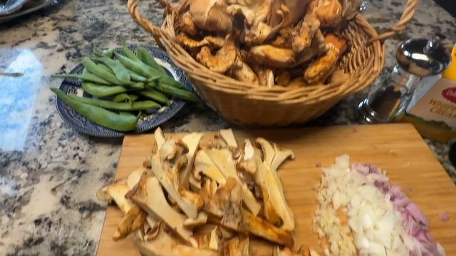 Matsutake #Pine Mushroom ล่าเห็ดสนในอเมริกา