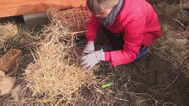 07.03.2020 Дача. Мы открываем розы ? смотреть онлайн