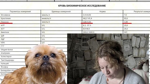 Расшифровка анализа крови собак. Советы ветеринара смотреть онлайн