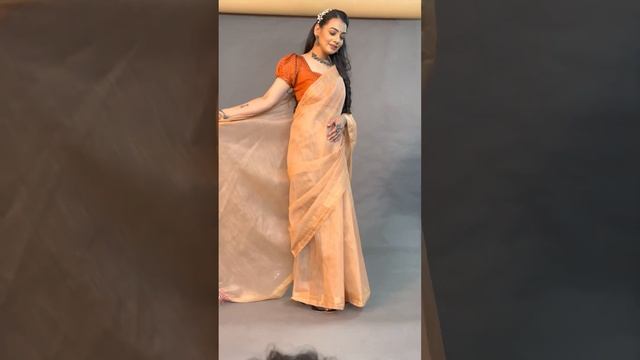 Saree shoot For E-commerce online Business-42 смотреть онлайн