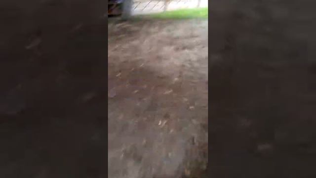 Мой друг украл у меня телефон и начал снимать смотреть онлайн