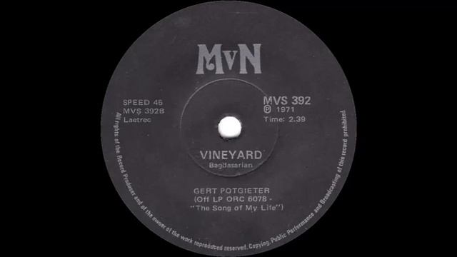 Gert Potgieter - Vineyard смотреть онлайн