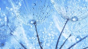 Успокаивающая музыка для сна, снятия стресса и медитации