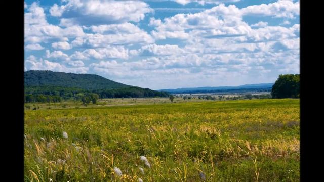 Бикин смотреть онлайн