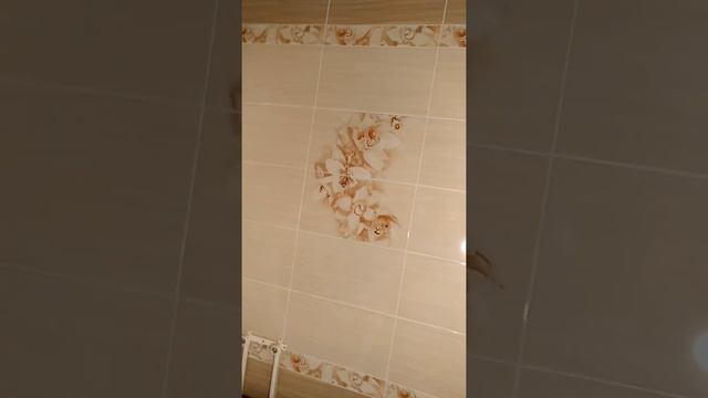 Отделка и ремонт смотреть онлайн