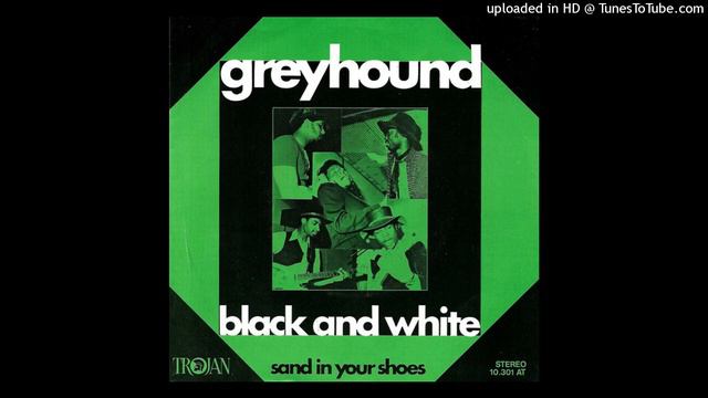 Greyhound - Black and white [magnums extended mix] смотреть онлайн