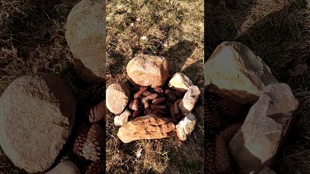 Москва Дача смотреть онлайн
