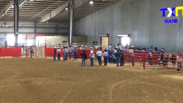 REGION 8 смотреть онлайн