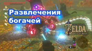 Развлечения богачей. The Legend of Zelda: Breath of the Wild. Nintendo Switch
