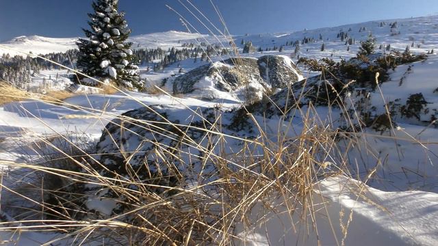 Пик Конярника на горе Витоша - Болгария смотреть онлайн