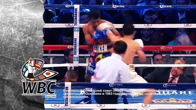 БОКС от А до Я выпуск 41 WBC смотреть онлайн