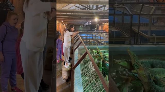 В Коломну одним днем😍 смотреть онлайн