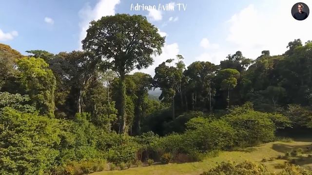 Hillsong Worship Best Praise Songs Collection 2024 🙏 Gospel Christian Songs Of Hillsong Worship #65