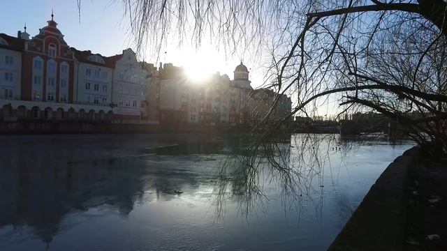 Переезд в Калининград из Сибири на ПМЖ. Калининград зимой смотреть онлайн