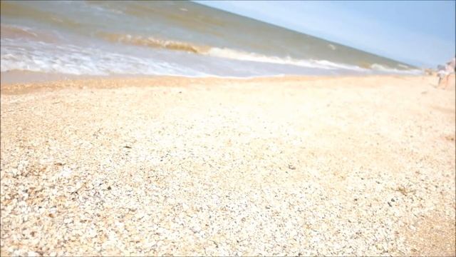 щенок лабрадора фт-линии, 2 мес, 3 недели, подача суша смотреть онлайн