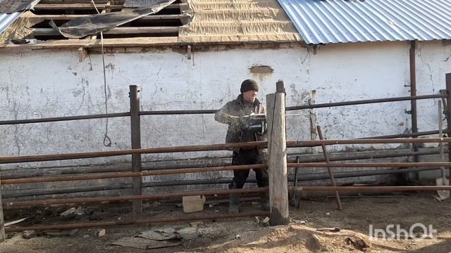 Раскол для фиксации КРС и лошадей своими руками.