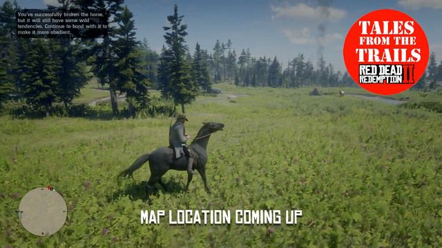 🗣 RDR2: Where to find the Black American Standardbred - FREE Location - Red Dead Redemption 2 смотреть онлайн