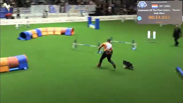 Ronin - Jumping individual World Championship 2015 Italy смотреть онлайн