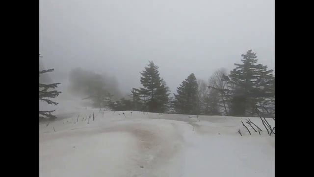 г.Макарова-последний приют бомбардировщика СБ №15/43. Траверс по лугам в сторону Фроловки. смотреть онлайн