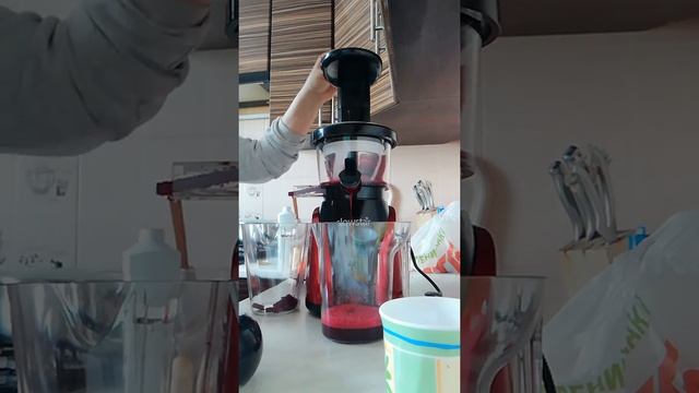 Соковыжималка Tribest slowstar sw-2000 смотреть онлайн