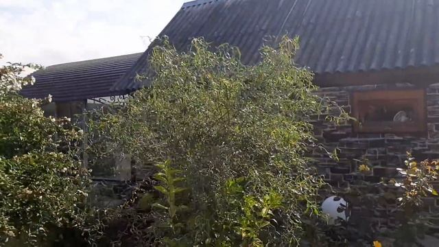 Все медали наши\\ А у них ... Любовь\\ смотреть онлайн