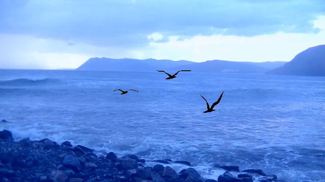 МОРЕ БУШУЕТ#ВИДЕОФОН МОРСКИЕ ВОЛНЫ ДЛЯ ВИДЕОМОНТАЖА #