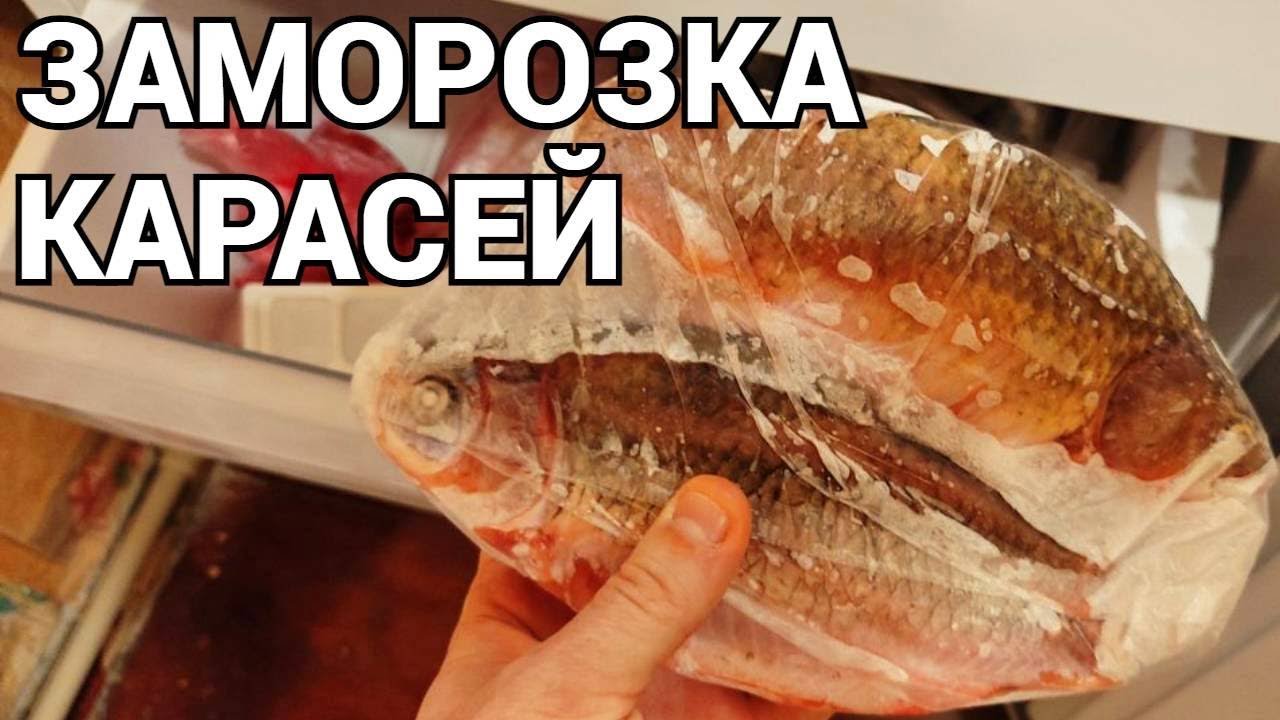 Как хранить карася в холодильнике ? смотреть онлайн