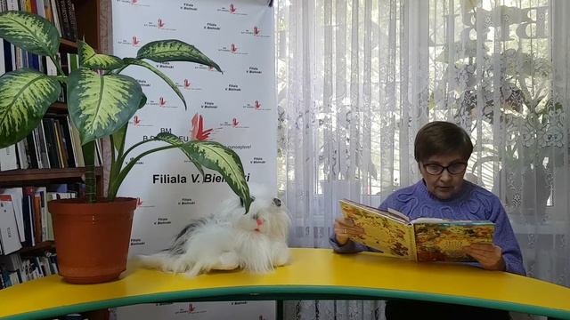 365 Сказок и историй на каждый день смотреть онлайн