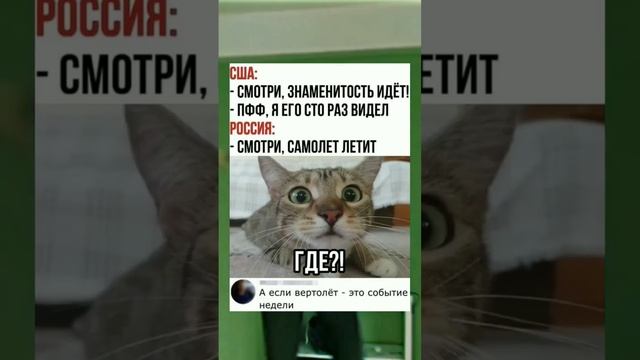 #short #shorts #мем #мемы #прикол #юмор #funny смотреть онлайн