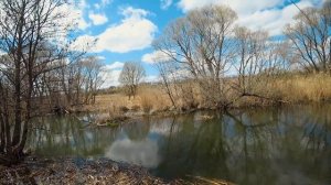 НЕ ПОВТОРЯЙТЕ МОИХ ОШИБОК! Джерк против спиннинга | Ловля щуки весной на джерк и спиннинг