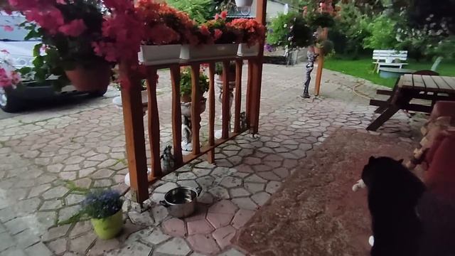 МАМА РАДУЕТСЯ , У НЕЁ ВСЁ НОРМАЛЬНО ! СИЛЬНЫЙ ЛИВЕНЬ С ГРАДОМ В ЕЛГАВЕ 7 АВГУСТА смотреть онлайн