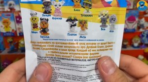 78 Сюрпризов Новый Мега Выпуск Будни Коллекционера. Супер Распаковка и Обзор Новинок!