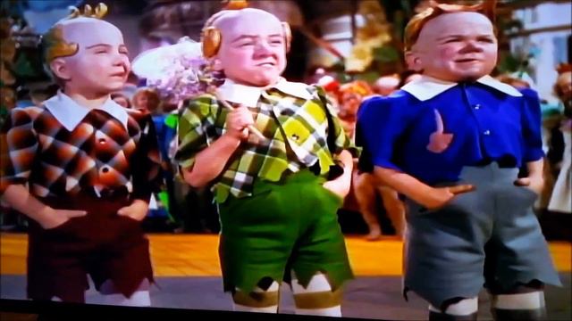 lollipopkids смотреть онлайн