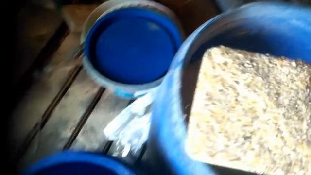 Откорм птицы.Нюансы кормления птицы предназначенной на мясо. смотреть онлайн